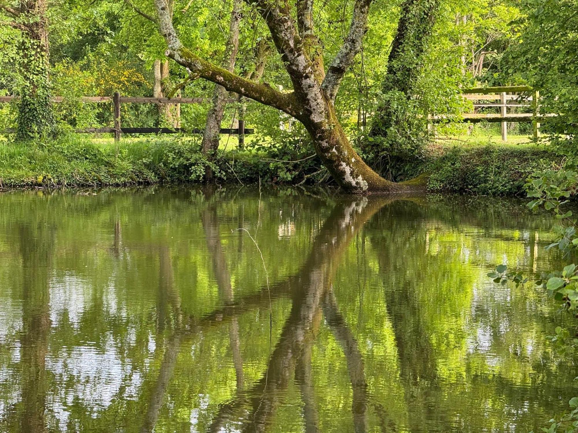 La Maison De L'Etang Manerbe Ngoại thất bức ảnh